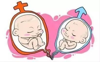 关于包生男孩咨询